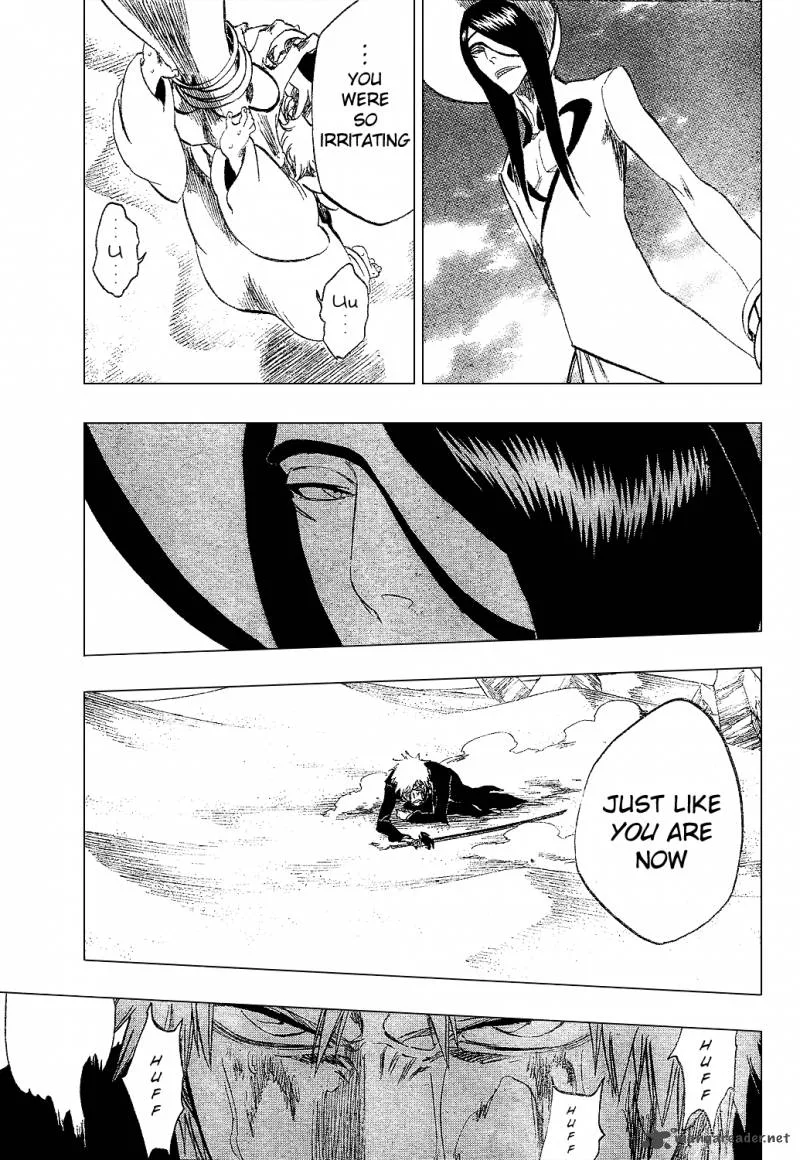 Bleach Chapter 290 page 16