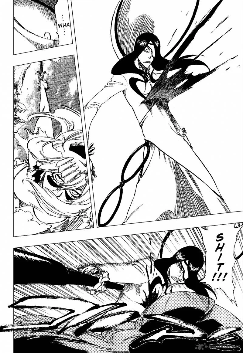 Bleach Chapter 291 page 15