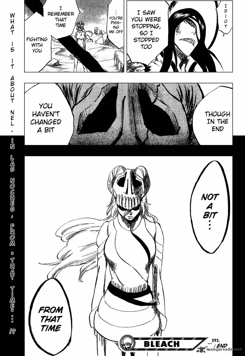 Bleach Chapter 293 page 22