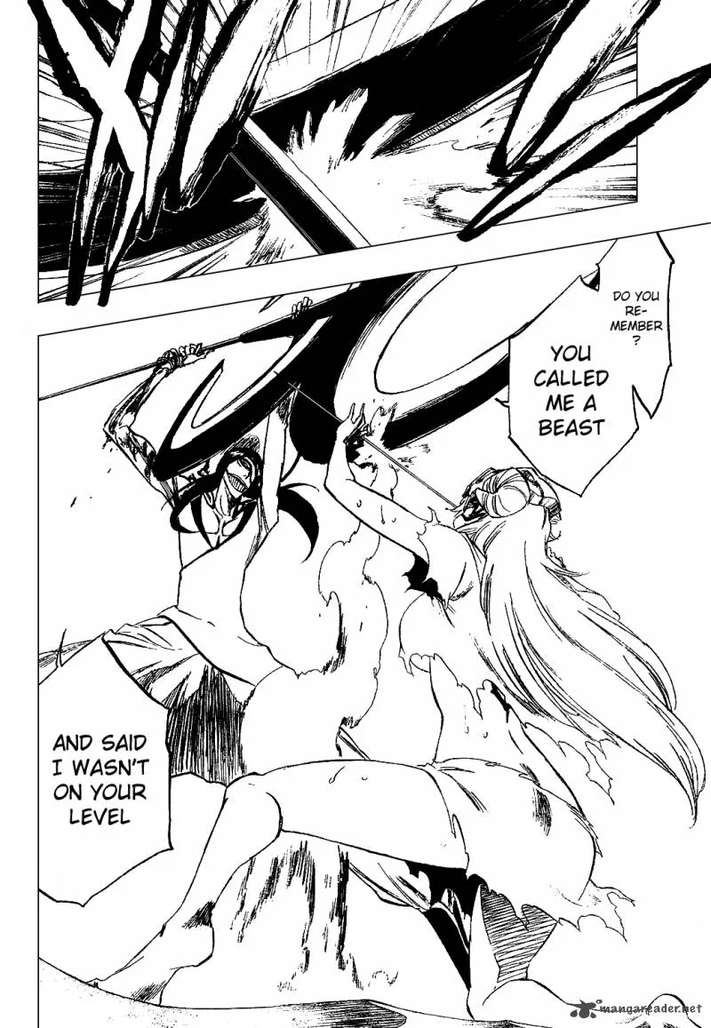 Bleach Chapter 294 page 12