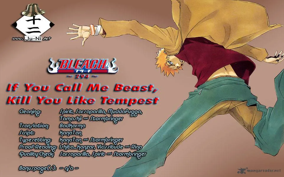 Bleach Chapter 294 page 1