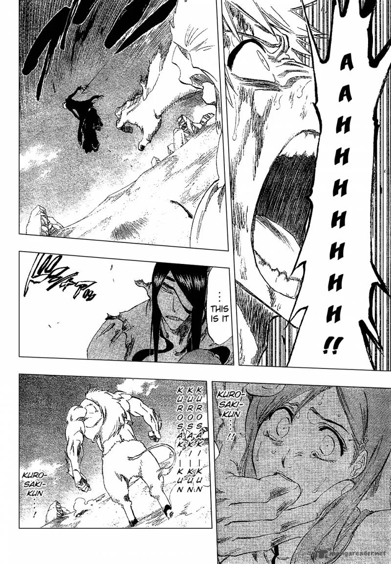 Bleach Chapter 297 page 17