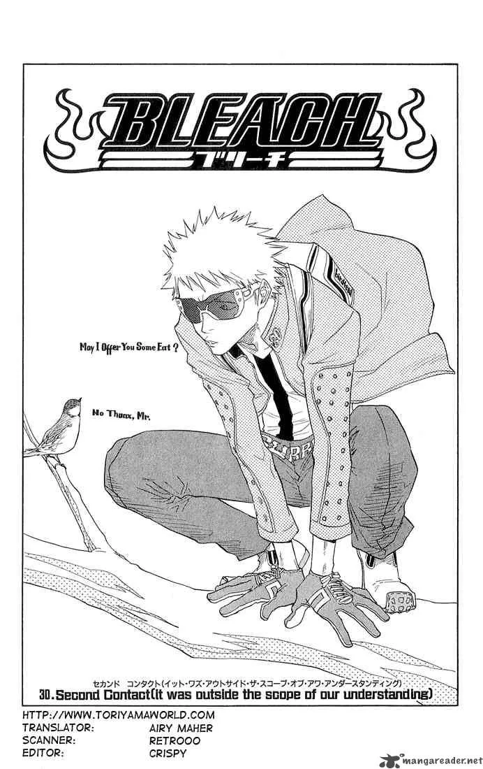 Bleach Chapter 30 page 2