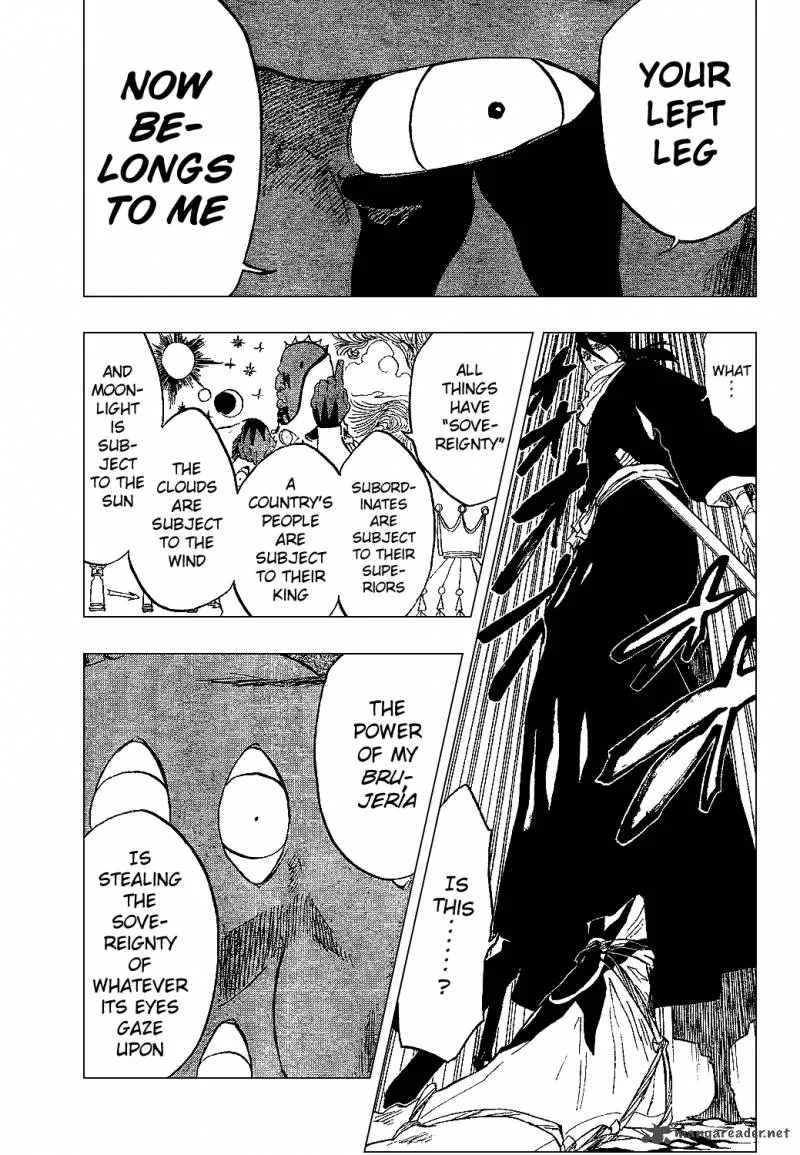 Bleach Chapter 300 page 14