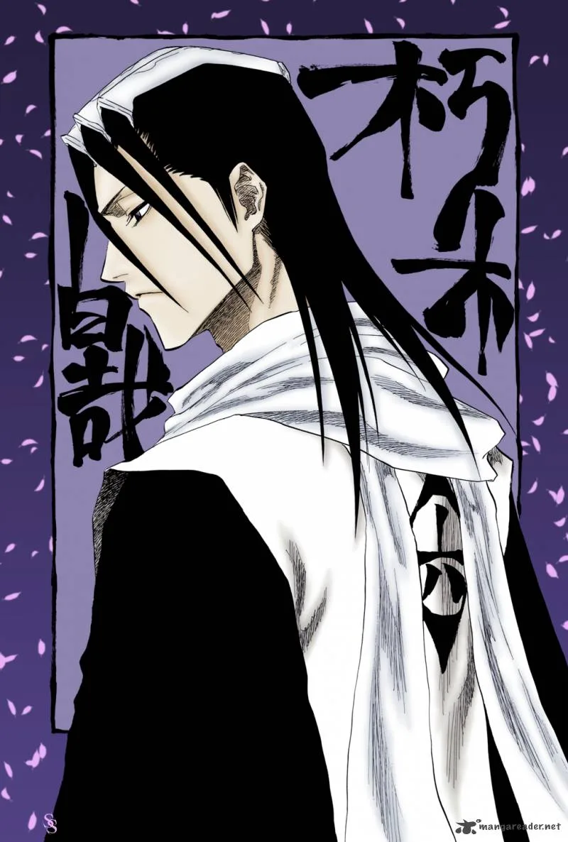 Bleach Chapter 301 page 24