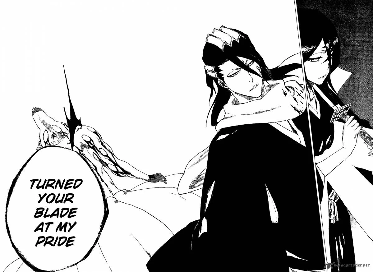 Bleach Chapter 302 page 17