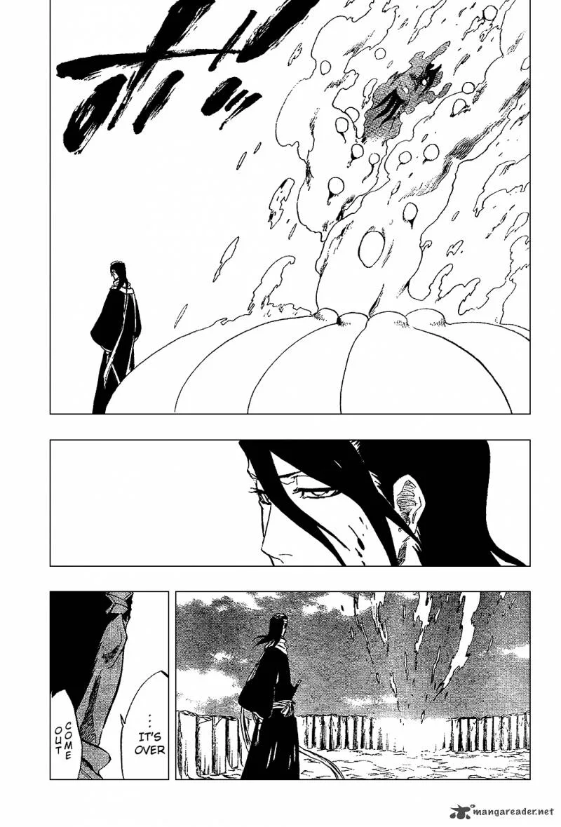 Bleach Chapter 302 page 19
