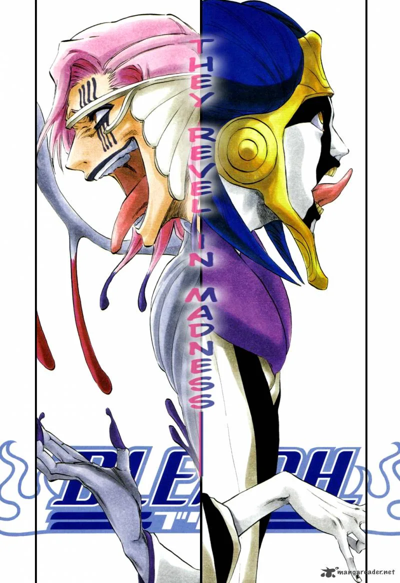 Bleach Chapter 304 page 3