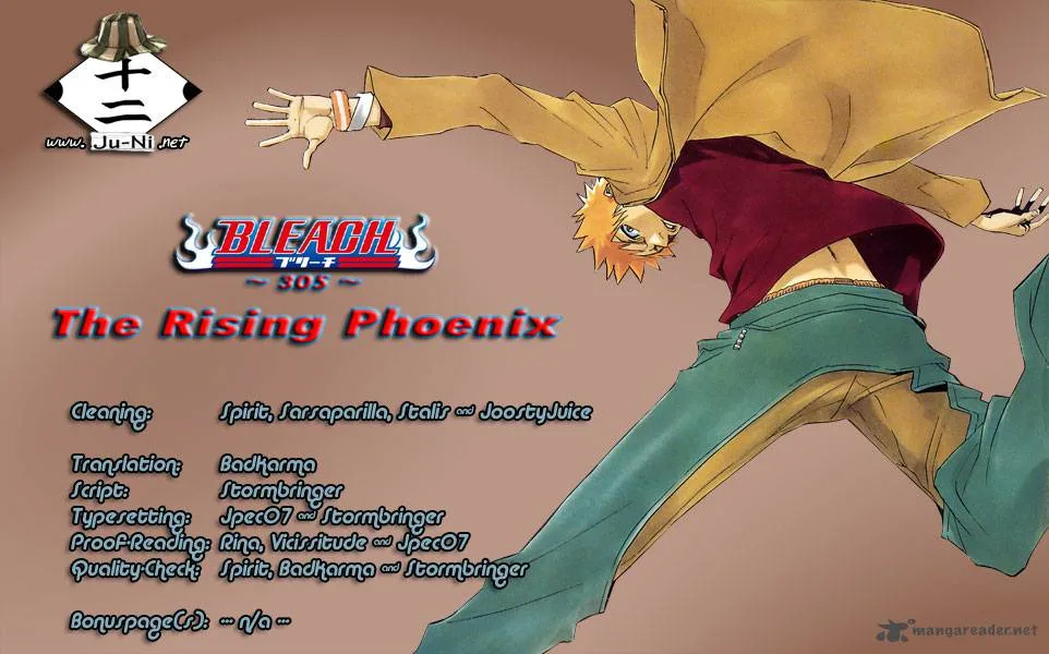 Bleach Chapter 305 page 1