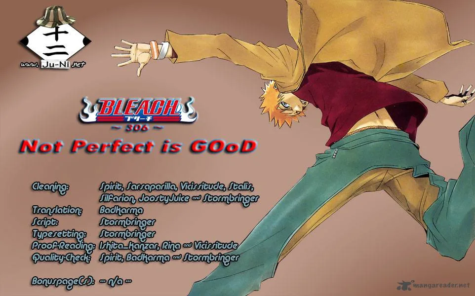 Bleach Chapter 306 page 1