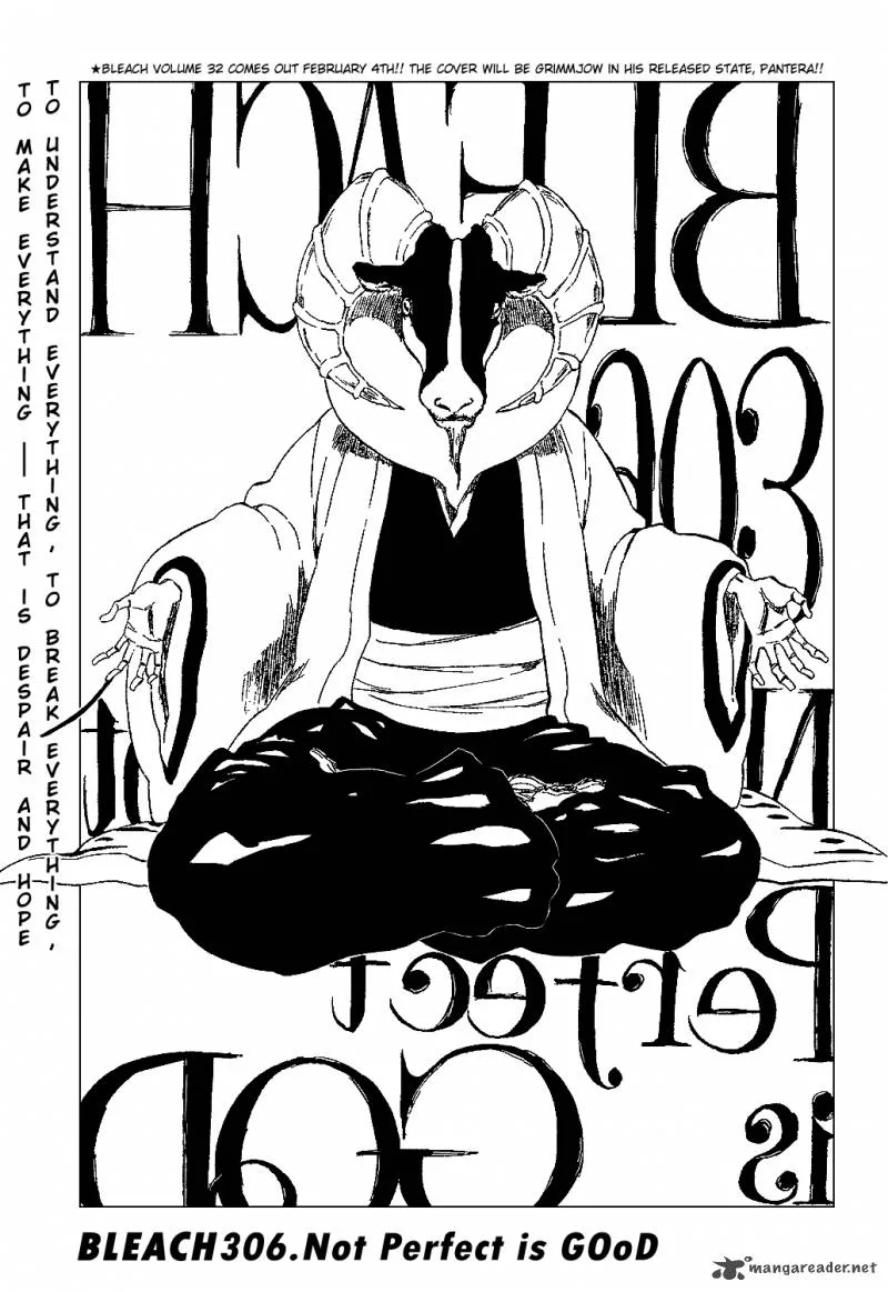 Bleach Chapter 306 page 10