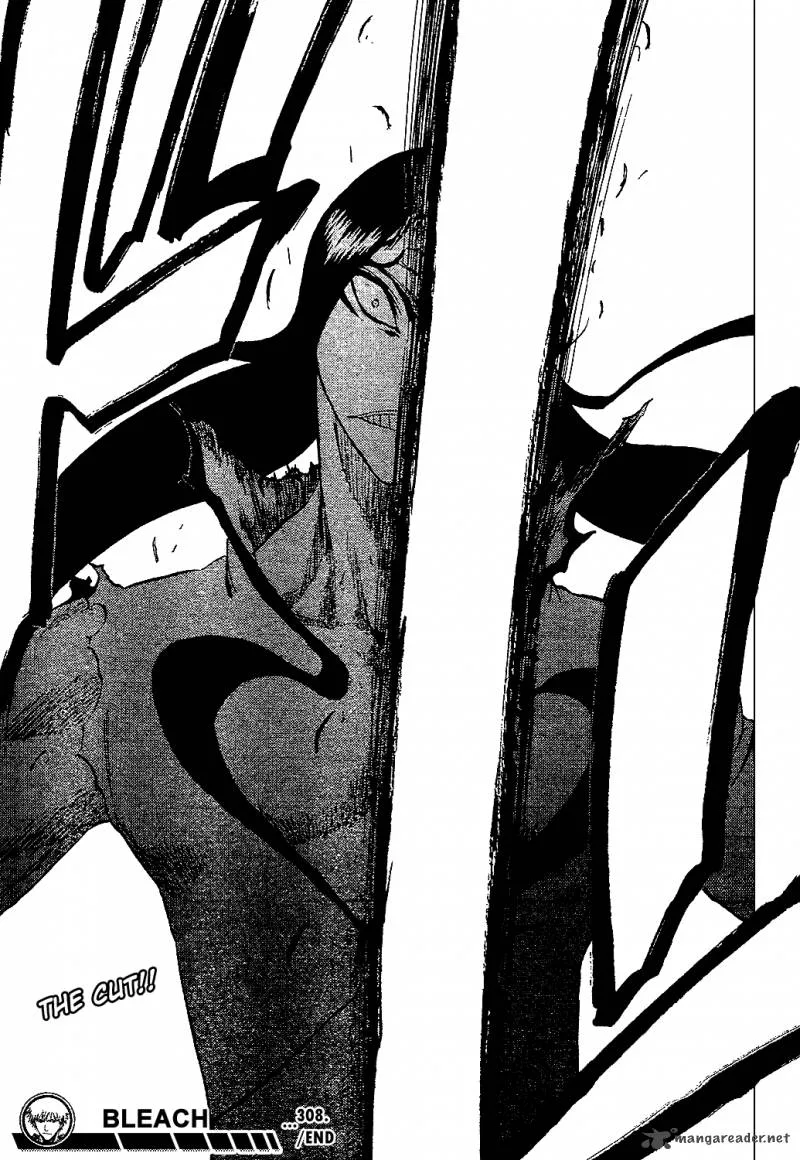 Bleach Chapter 308 page 21