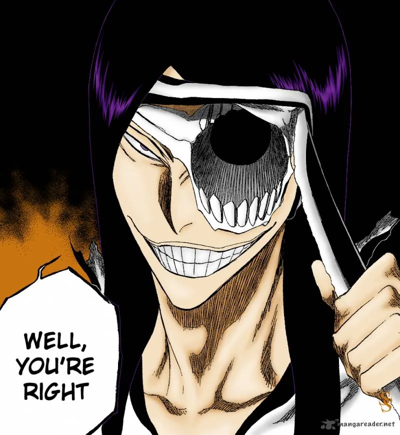 Bleach Chapter 309 page 22