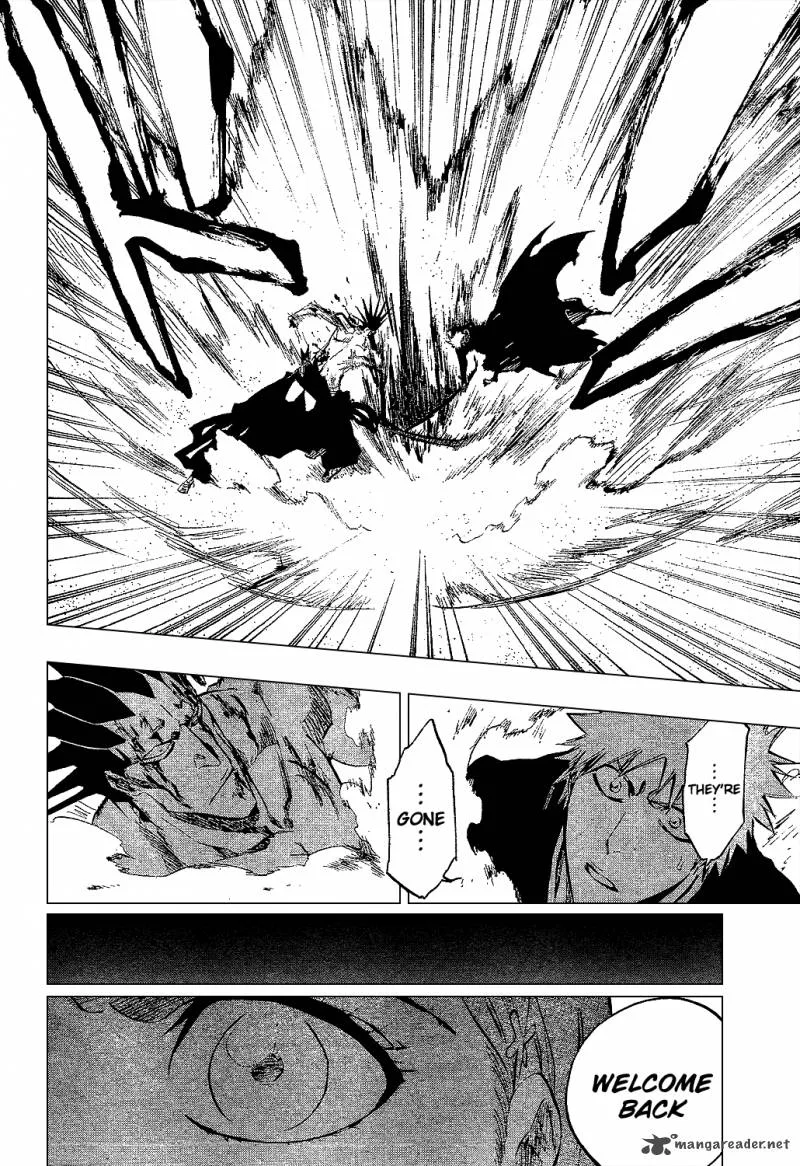 Bleach Chapter 313 page 18