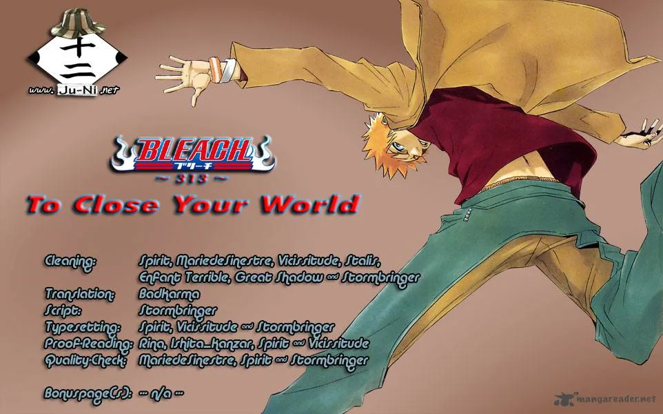Bleach Chapter 313 page 1