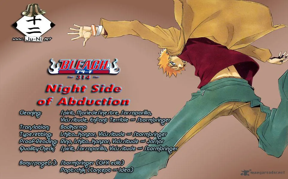 Bleach Chapter 314 page 1