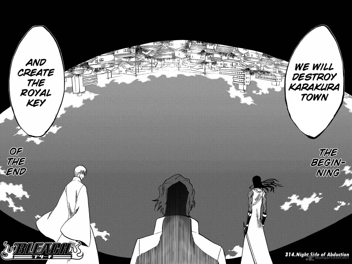 Bleach Chapter 314 page 4
