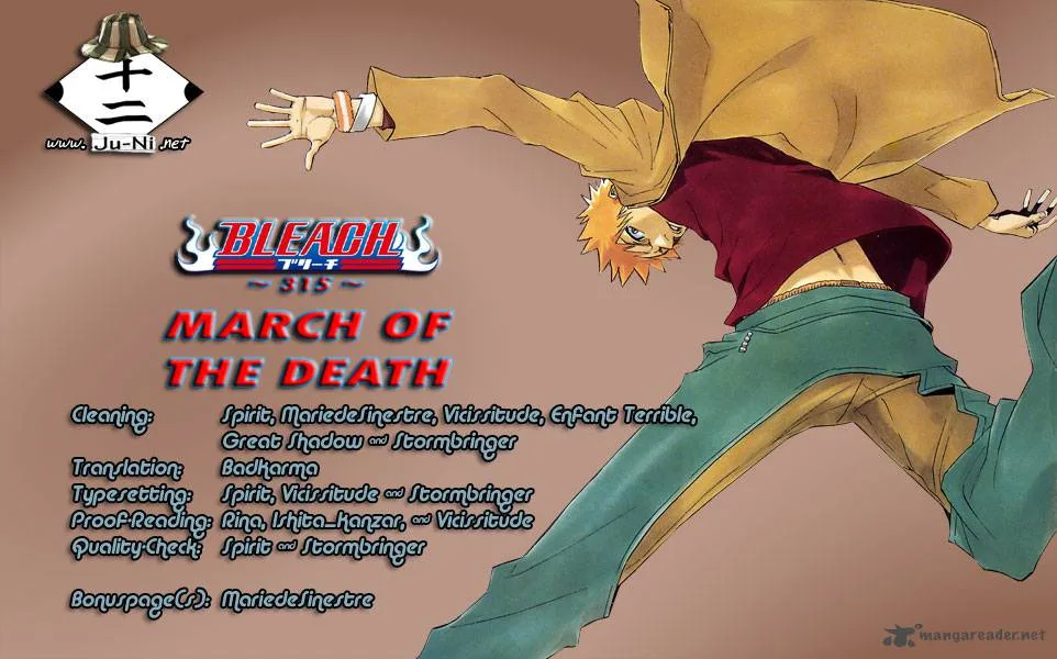 Bleach Chapter 315 page 1