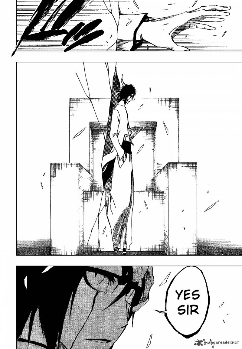 Bleach Chapter 315 page 15