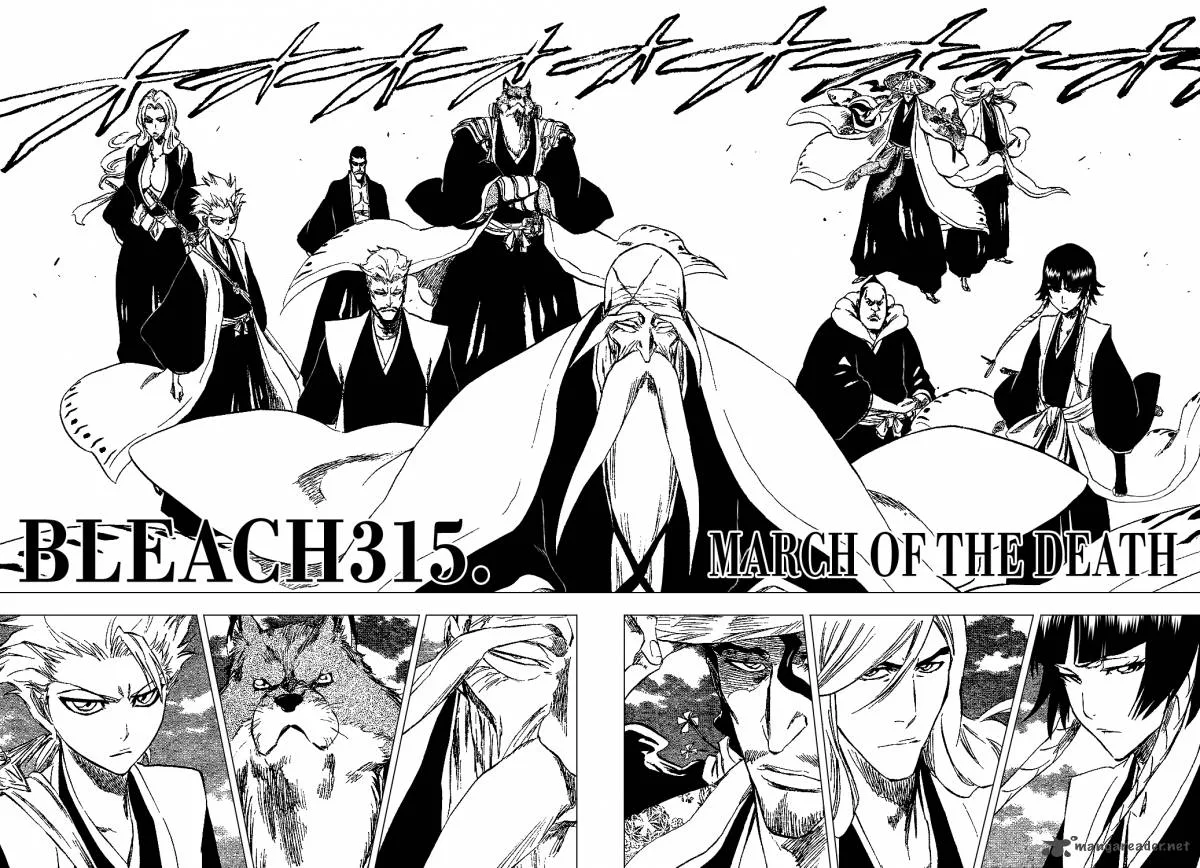 Bleach Chapter 315 page 4