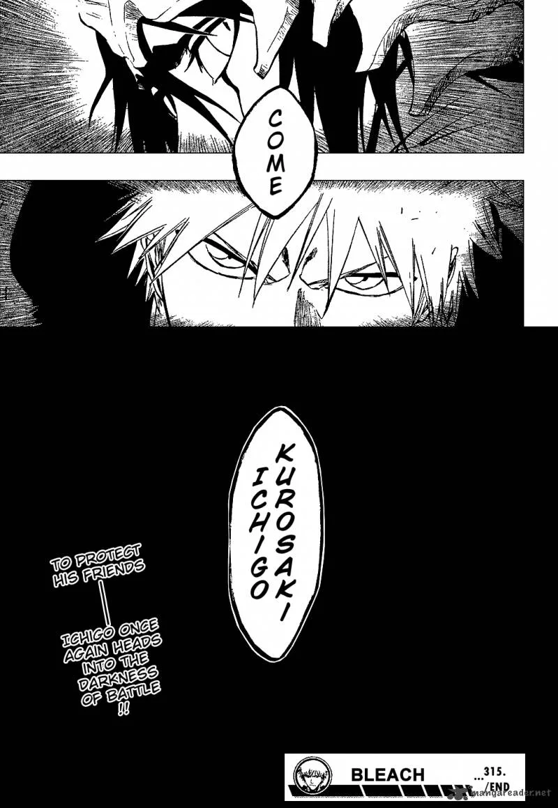 Bleach Chapter 315 page 18