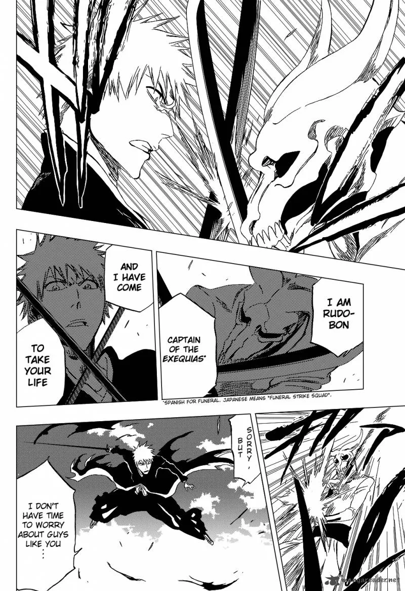 Bleach Chapter 317 page 13