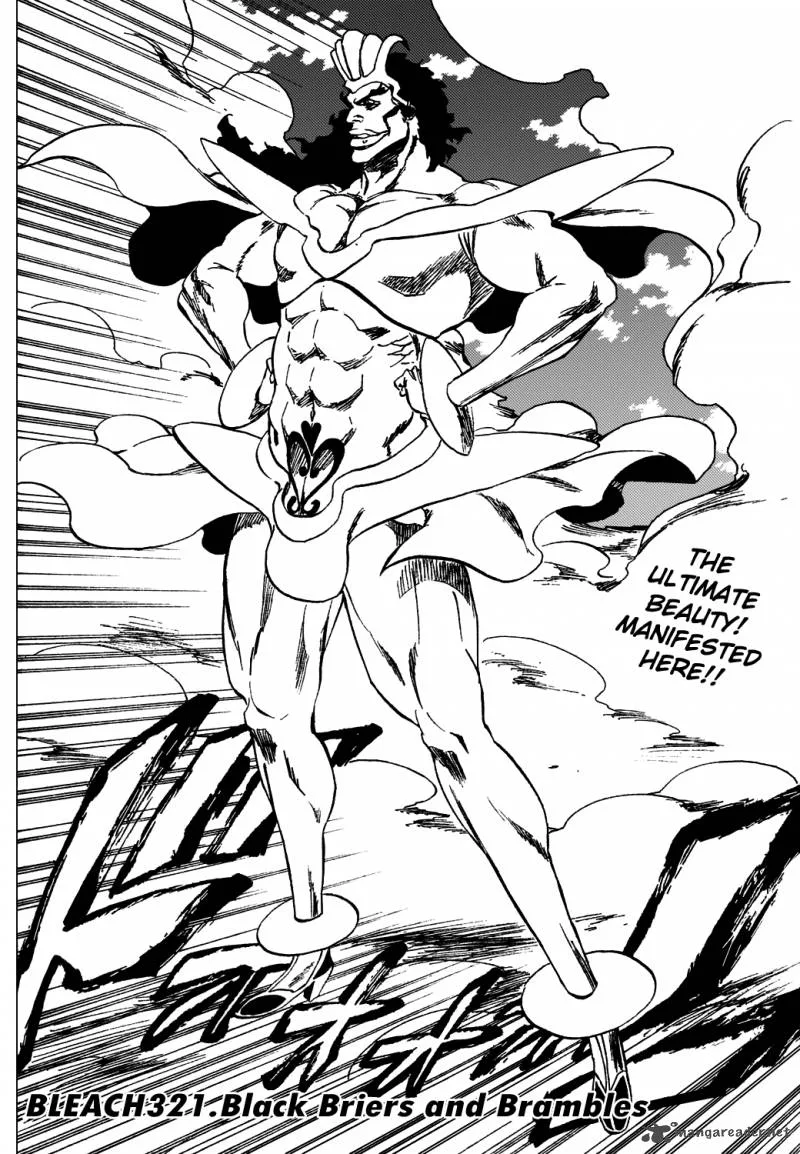 Bleach Chapter 321 page 3