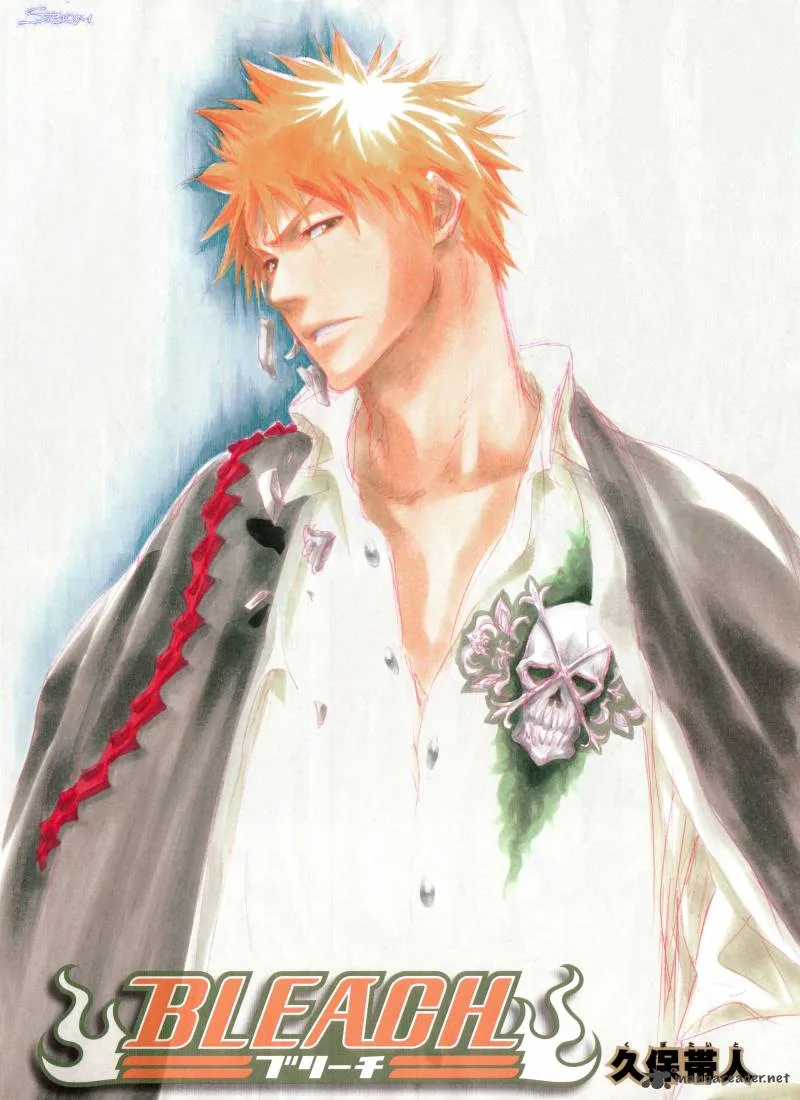 Bleach Chapter 323 page 24