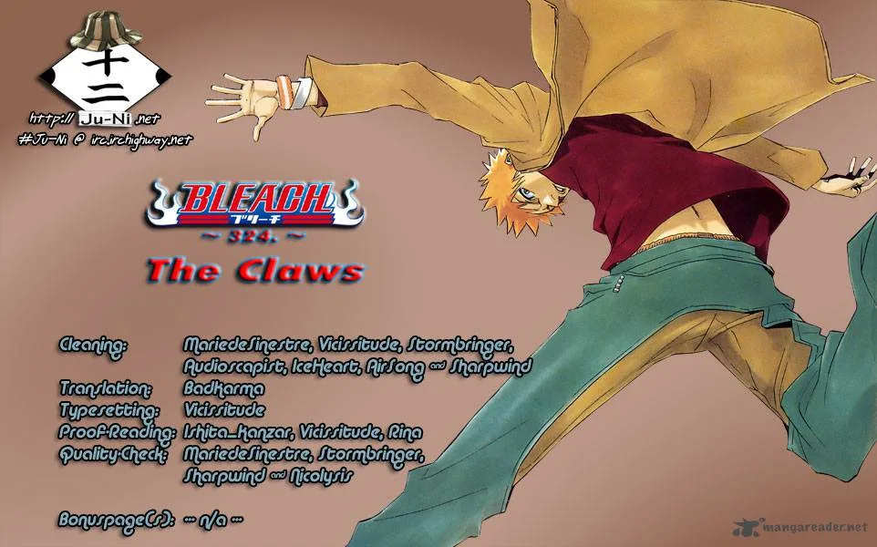 Bleach Chapter 324 page 1