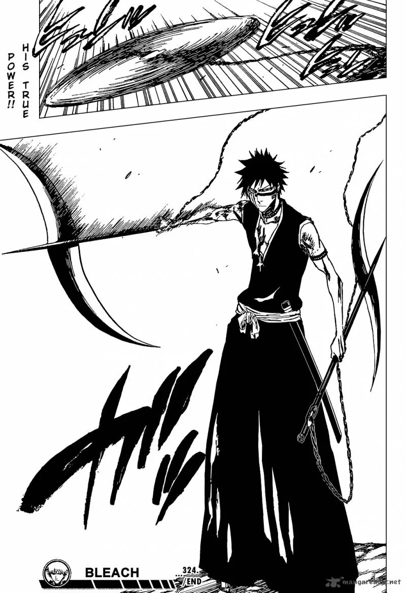 Bleach Chapter 324 page 21
