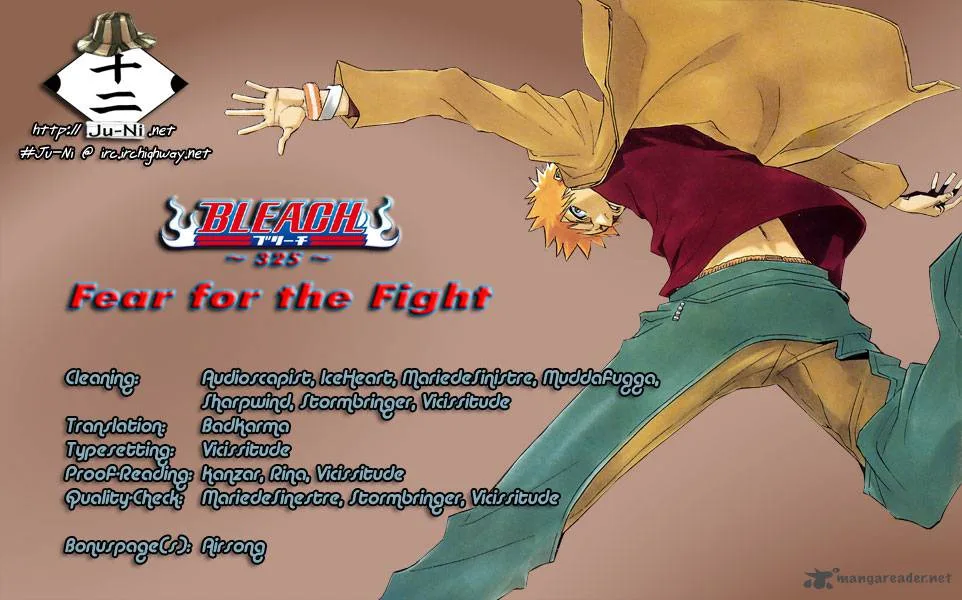 Bleach Chapter 325 page 1