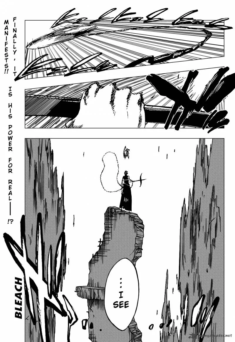 Bleach Chapter 325 page 3