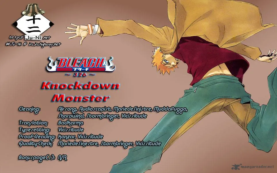 Bleach Chapter 326 page 1