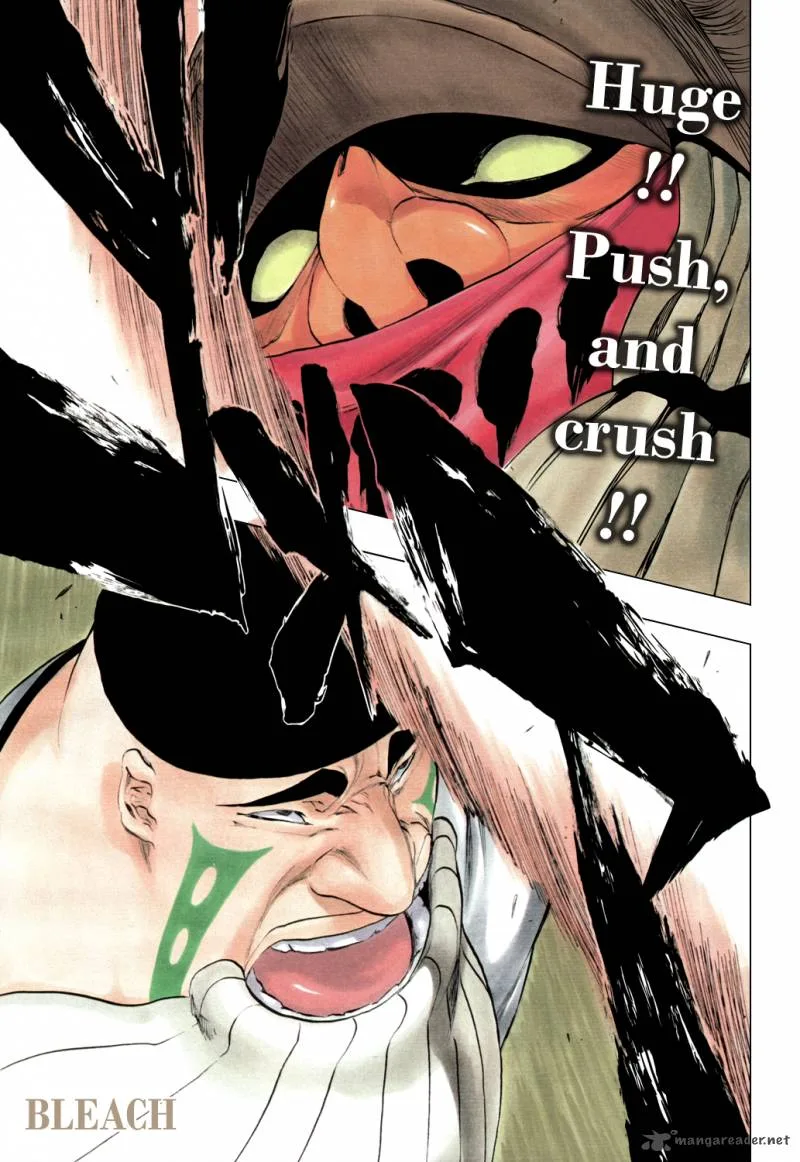 Bleach Chapter 328 page 4