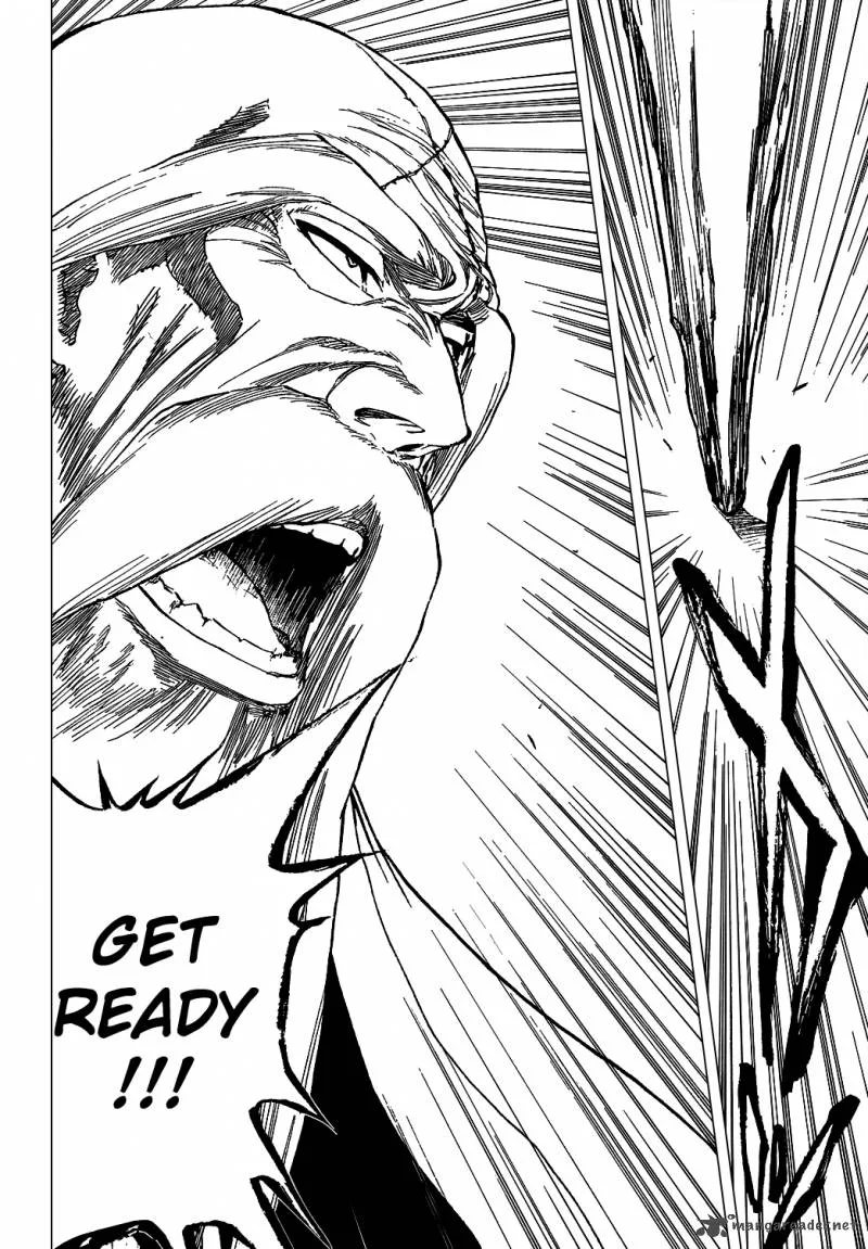 Bleach Chapter 329 page 5