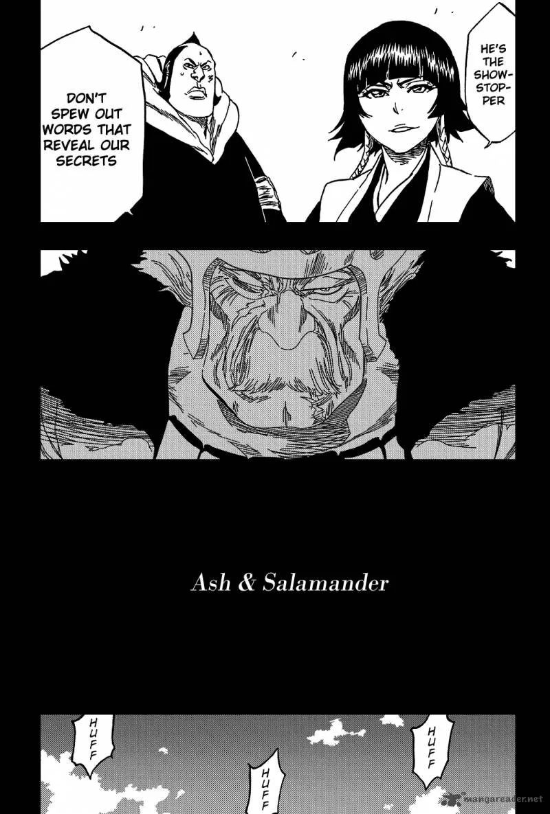 Bleach Chapter 333 page 16