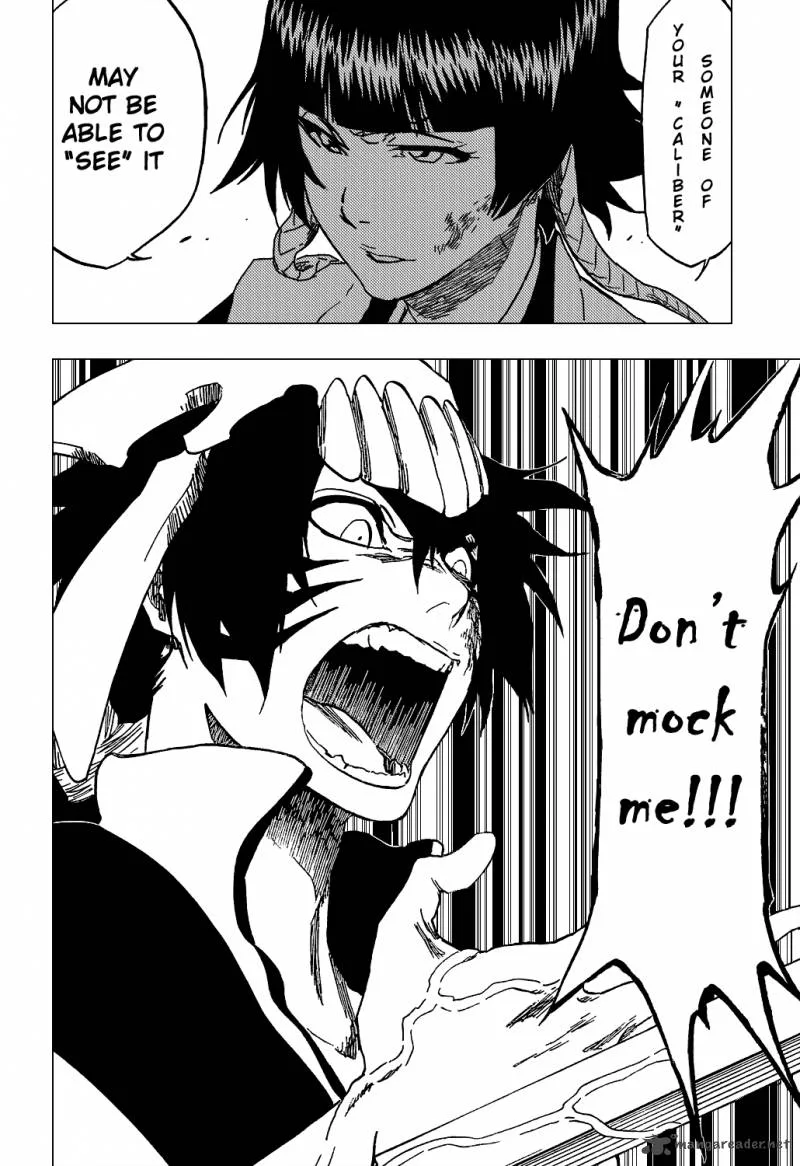 Bleach Chapter 333 page 9