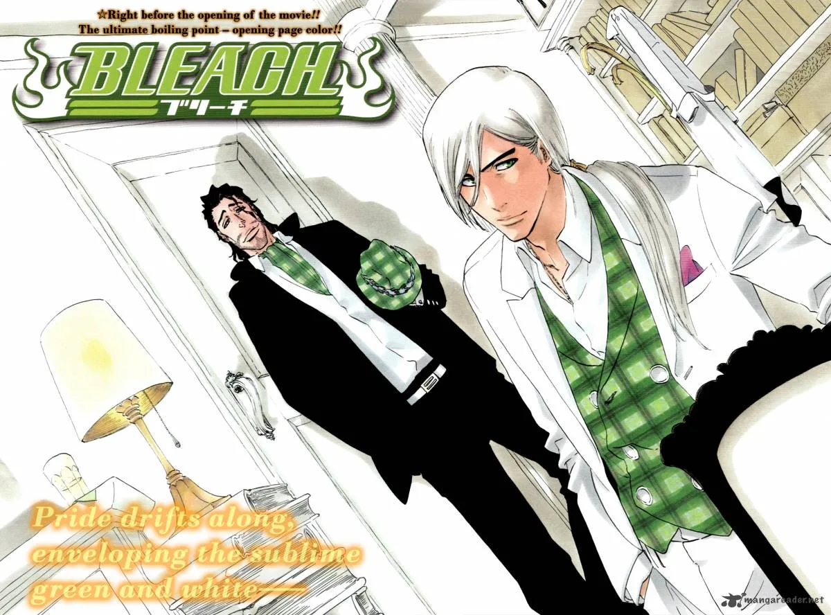 Bleach Chapter 335 page 5