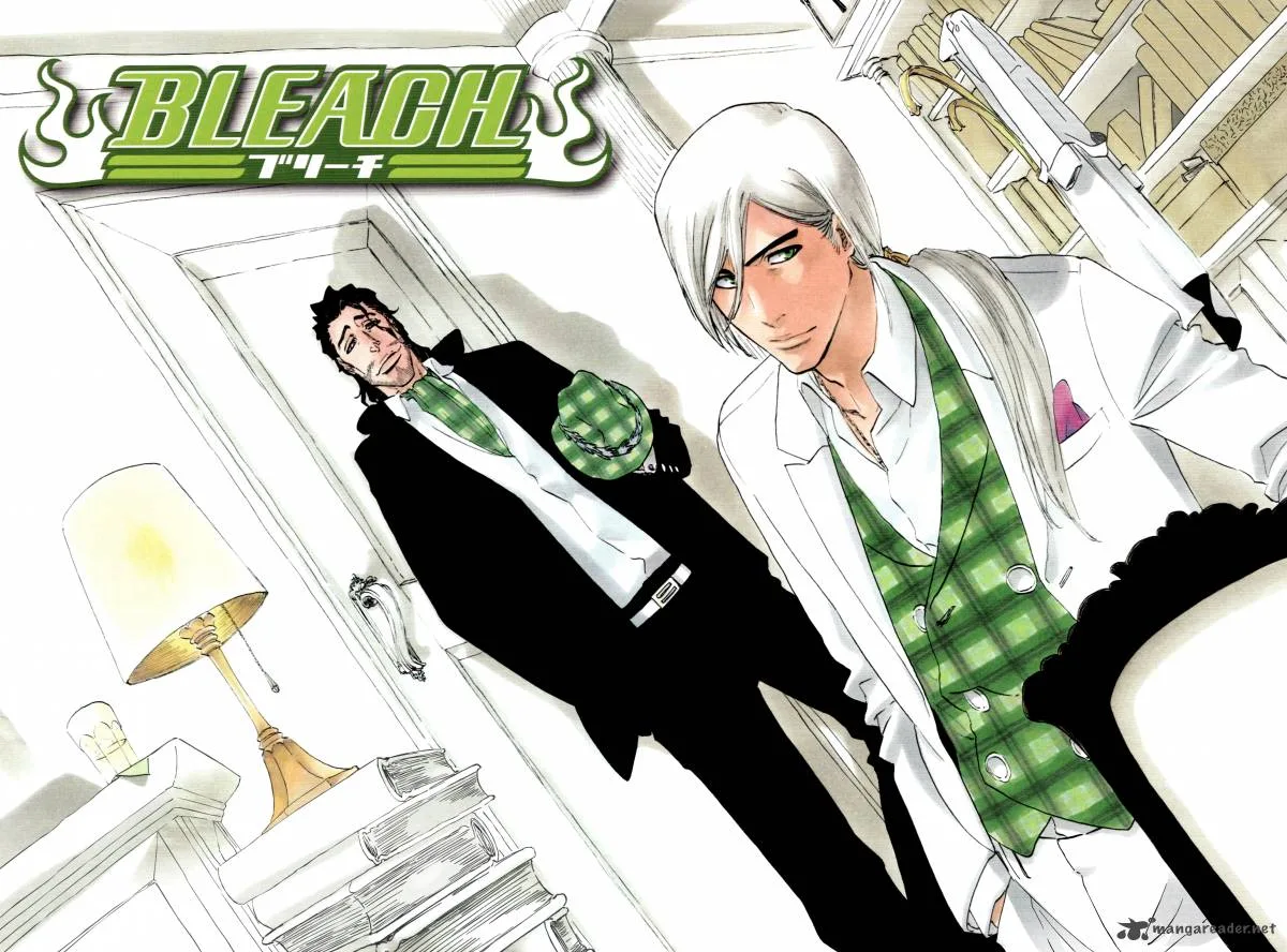 Bleach Chapter 335 page 25