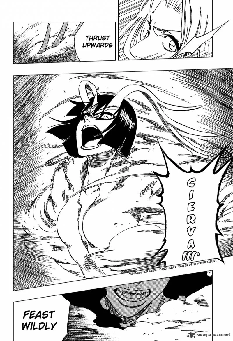 Bleach Chapter 335 page 19