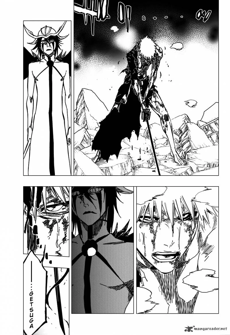 Bleach Chapter 347 page 14