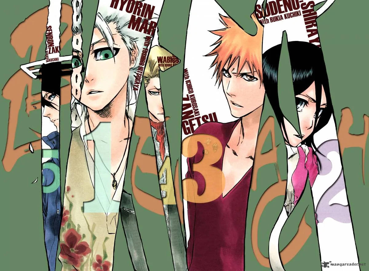 Bleach Chapter 348 page 24