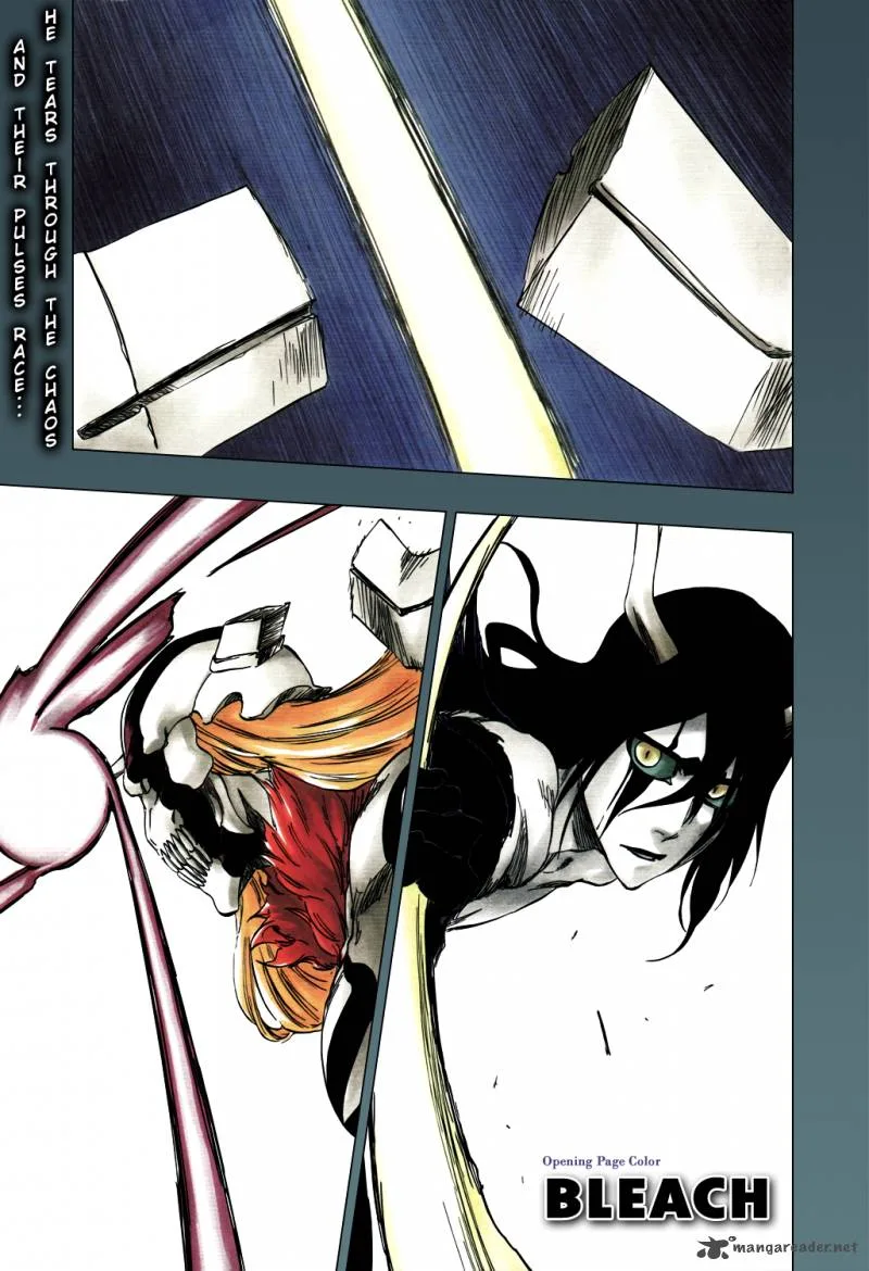 Bleach Chapter 353 page 4