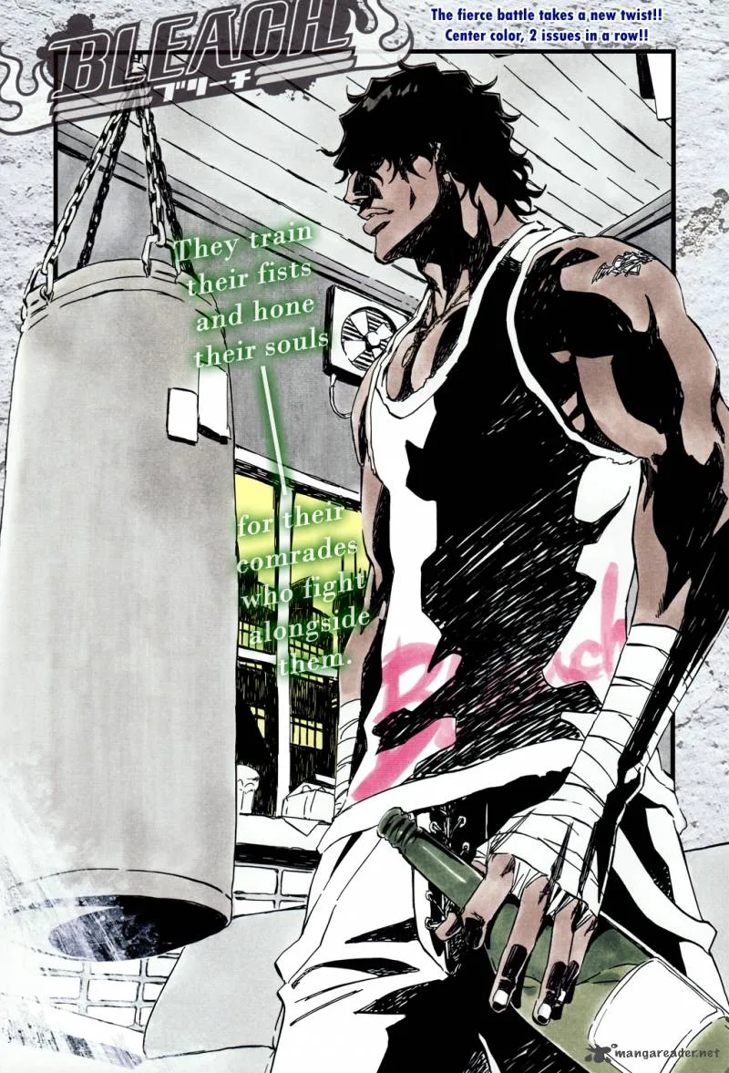 Bleach Chapter 363 page 4