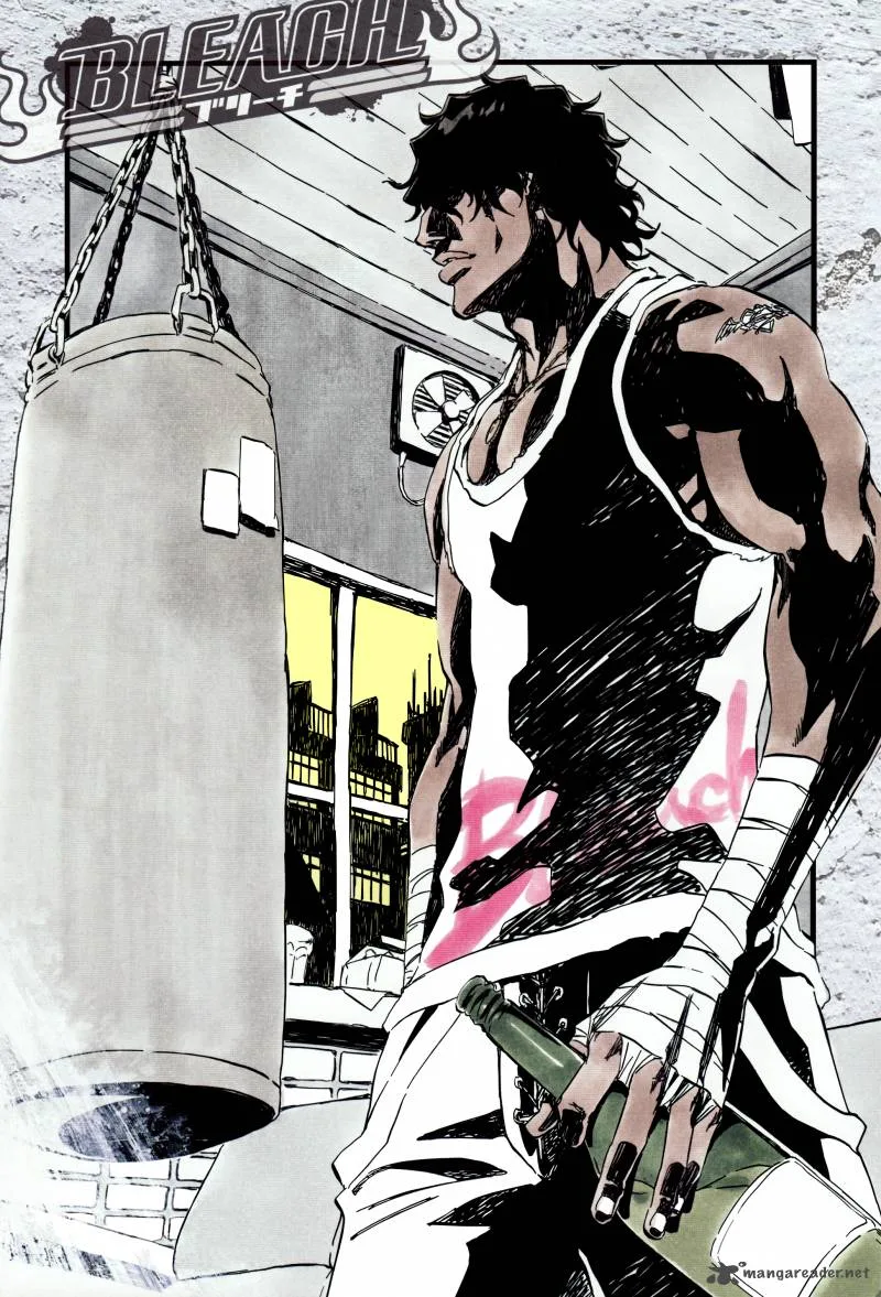 Bleach Chapter 363 page 23