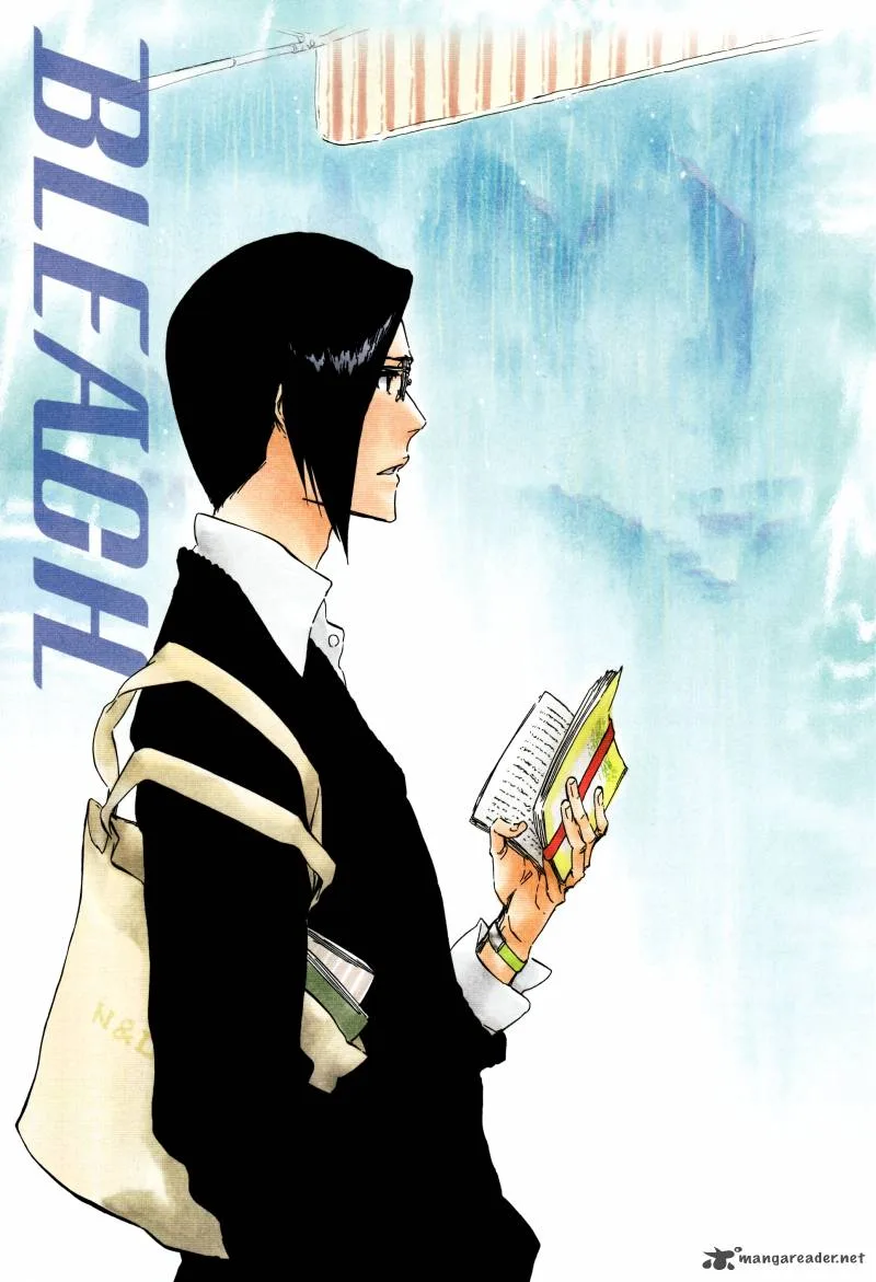 Bleach Chapter 364 page 22