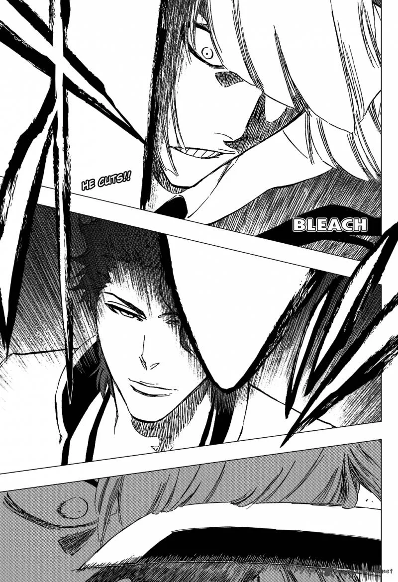 Bleach Chapter 367 page 24