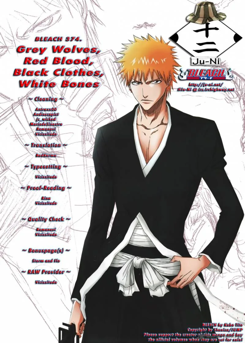 Bleach Chapter 374 page 2