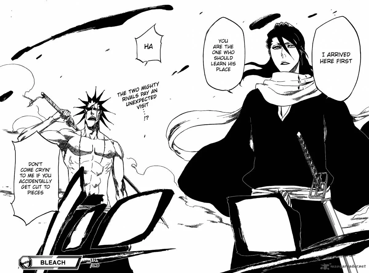 Bleach Chapter 379 page 23