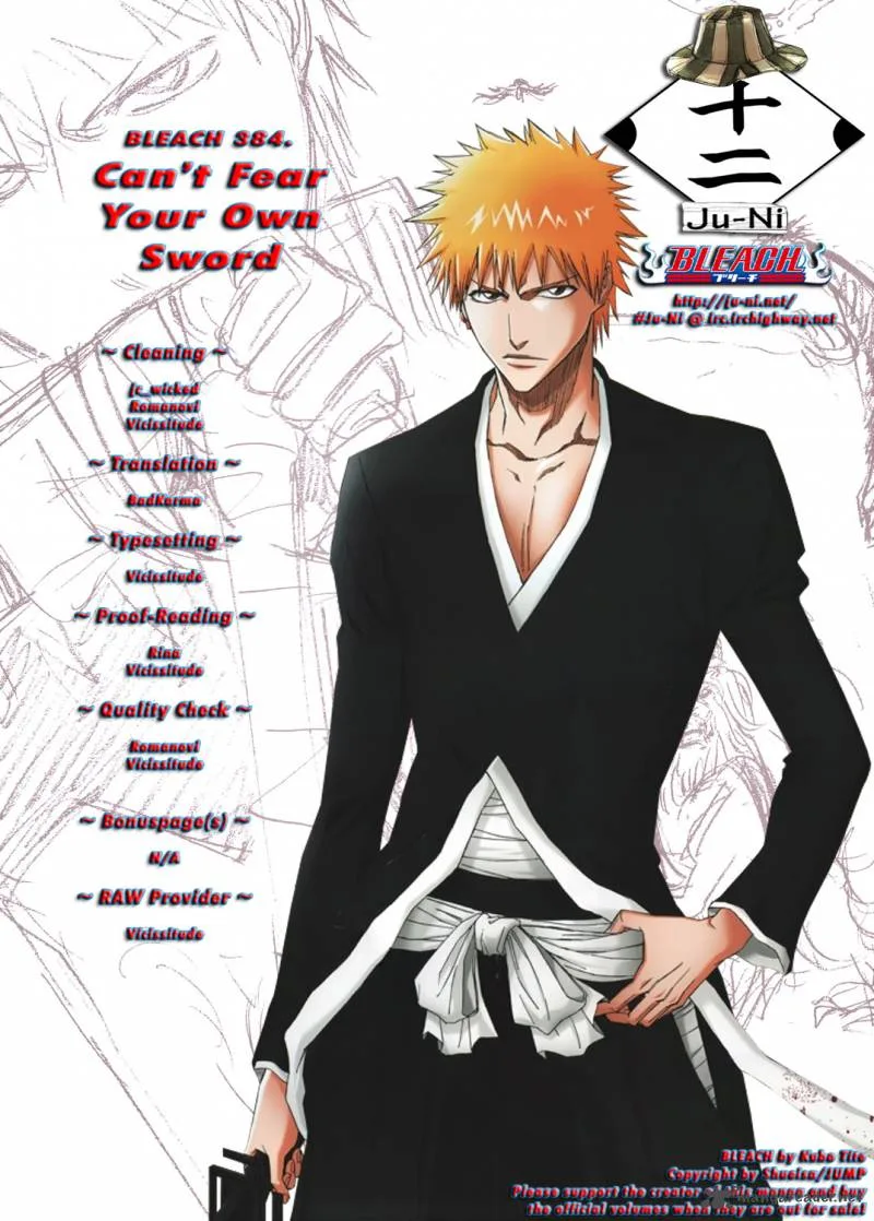 Bleach Chapter 384 page 1